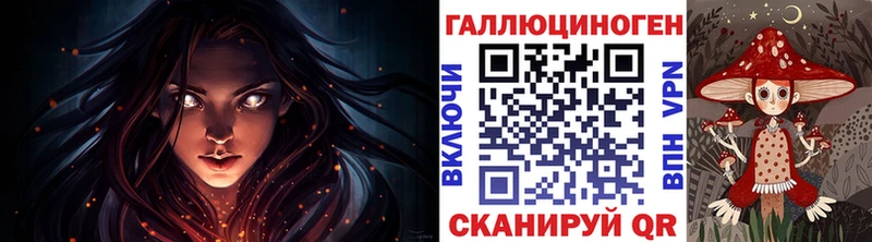 Купить  Тара  Галлюциногенные грибы Magic Shrooms 